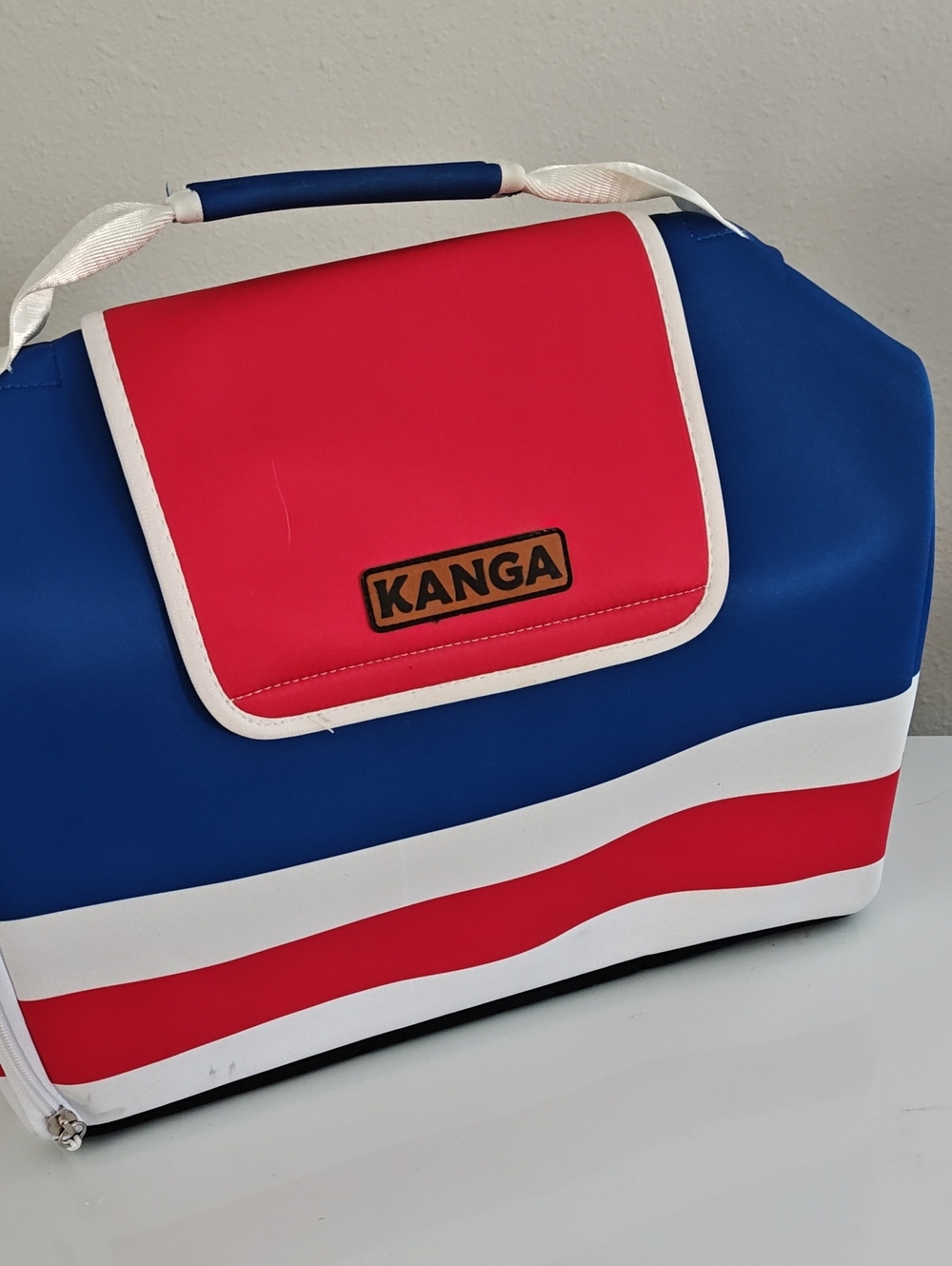 Travel Cooler Bag in Blue and Red